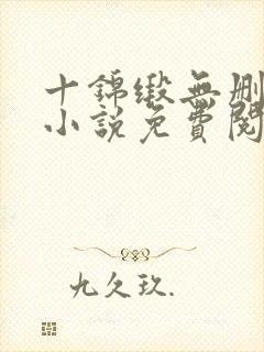 十锦缎无删原著小说免费阅读