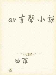 av有声小说