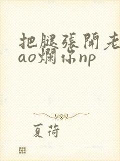 把腿张开老子cao烂你np封面