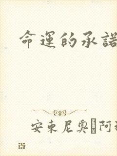 命运的承诺