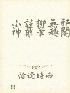 小说柳无邪吞天神鼎笔趣阁