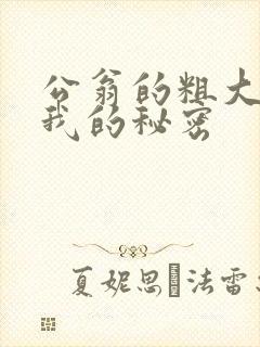 公翁的粗大放进我的秘密