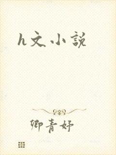 h文小说封面