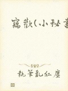 窃欢(小秘书)