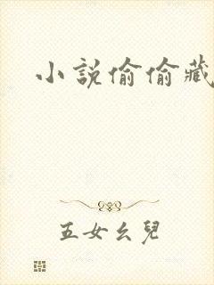 小说偷偷藏不住