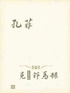 孔菲封面