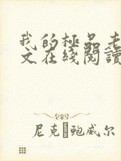 我的极品老婆全文在线阅读