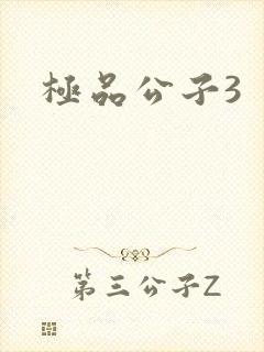 极品公子3