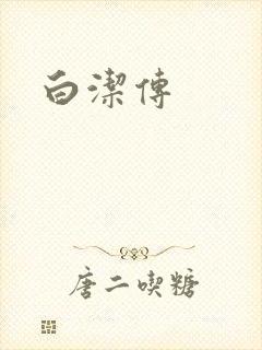 白洁传