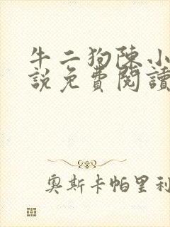 牛二狗陈小燕小说免费阅读全文无弹窗