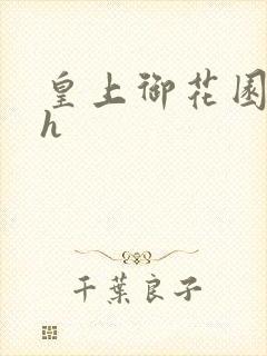 皇上御花园hlh封面