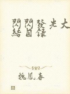 闪闪发光大团圆结目录
