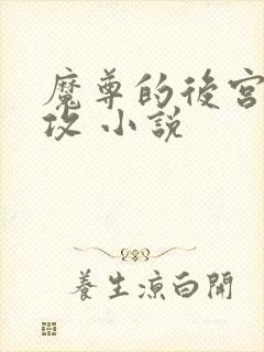 魔尊的后宫 女攻 小说