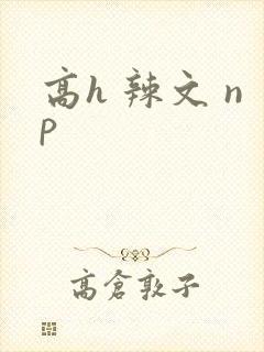 高h 辣文 np