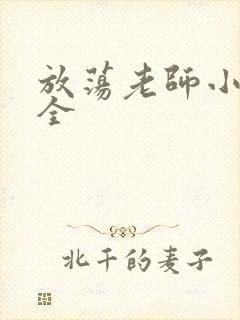 放荡老师小说大全