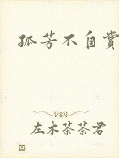 孤芳不自赏小说