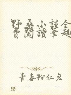 野桑小说全文免费阅读笔趣阁