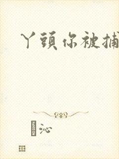 丫头你被捕了封面