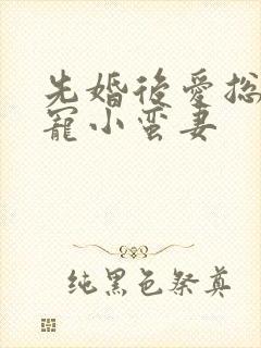 先婚后爱总裁娇宠小蛮妻