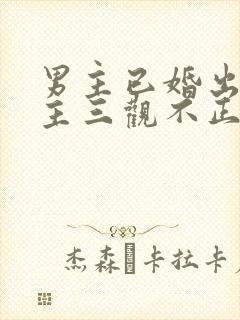男主已婚出轨女主三观不正小说