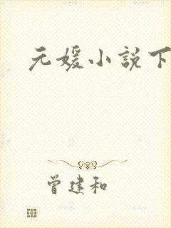 元媛小说下载