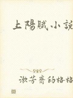 上阳赋小说