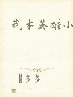 我本英雄小说