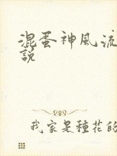 混蛋神风流史小说封面