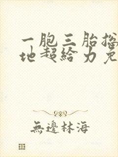 一胞三胎总裁爹地超给力免费阅读
