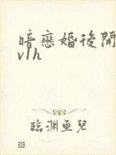 暗恋婚后开荤1v1h