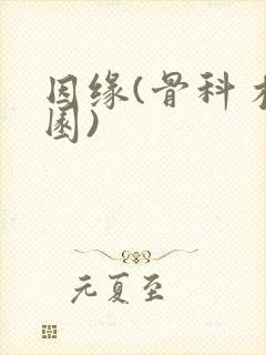 因缘(骨科 校园)封面