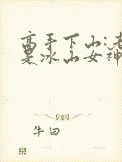 高手下山:老婆是冰山女神