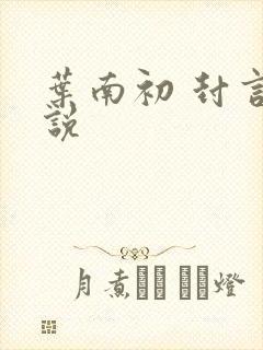 叶南初 封言小说