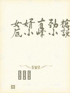 女婿有劲枪枪到底小峰小说