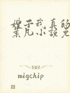 嫂子我真的不傻叶凡小说免费