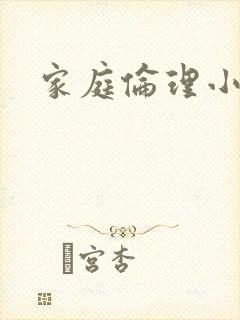 家庭伦理小说封面