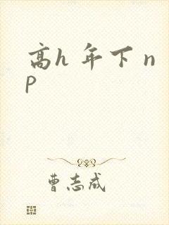 高h 年下 np