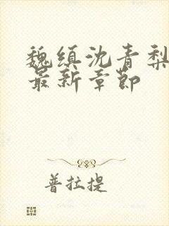 魏缜沈青梨小说最新章节封面