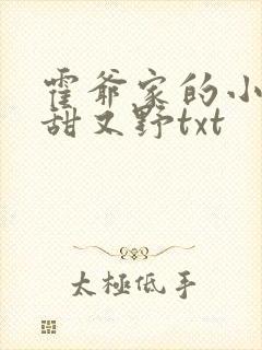 霍爷家的小祖宗甜又野txt