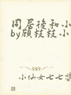 同居后和小叔叔by顾枝枝小说免费阅读封面