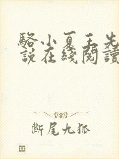 骆小夏王先生小说在线阅读