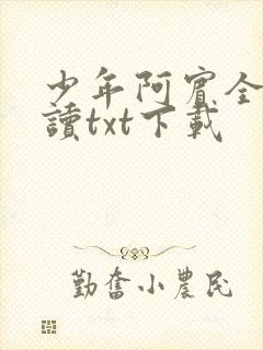 少年阿宾全文阅读txt下载