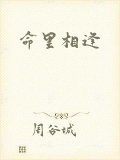命里相逢封面