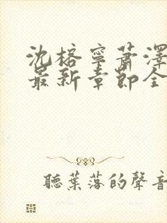 沈榕宁萧泽小说最新章节全文阅读