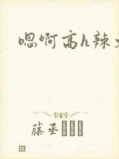 嗯啊高h辣文