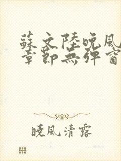 苏文陆晚风最新章节无弹窗笔趣阁