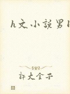 h文小说男同