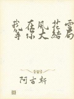 我在风花雪月里等你大结局封面