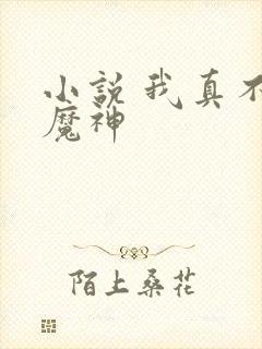 小说 我真不是魔神
