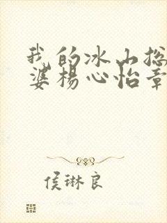 我的冰山总裁老婆杨心怡章节封面